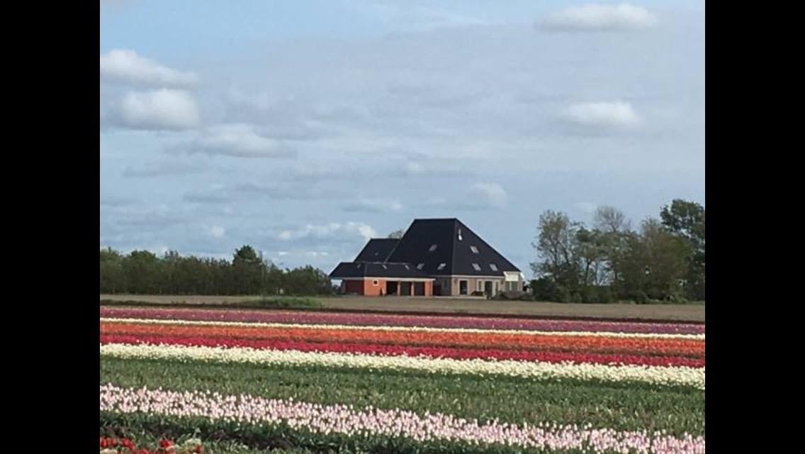 Bed and Breakfast Boerderij De Waard Anna Paulowna Zewnętrze zdjęcie